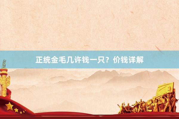 正统金毛几许钱一只？价钱详解