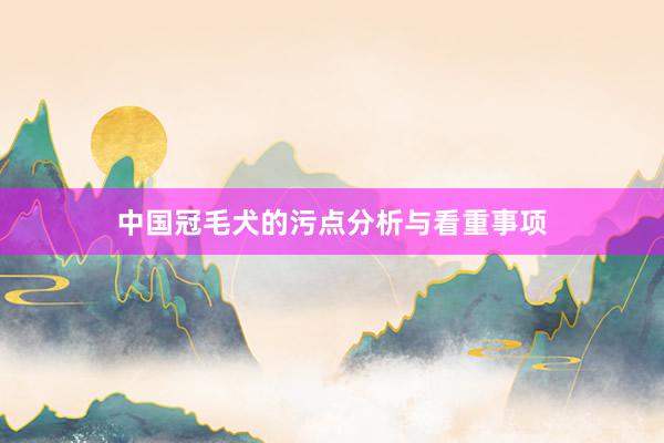 中国冠毛犬的污点分析与看重事项