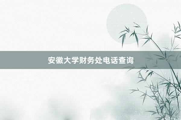 安徽大学财务处电话查询