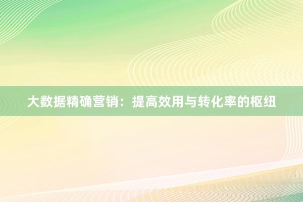 大数据精确营销：提高效用与转化率的枢纽